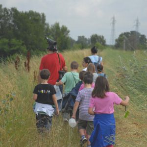 Educazione alla sostenibilità