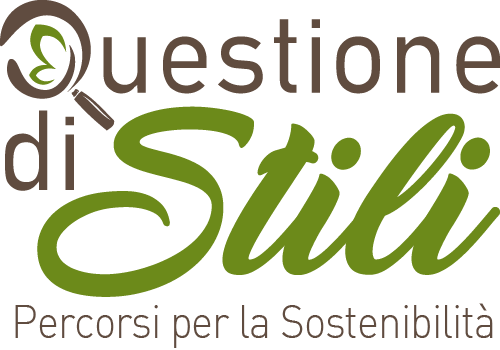 logo-QDS