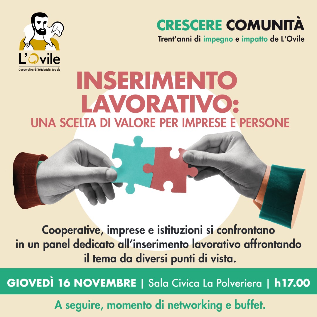 161123_inserimentolavorativo