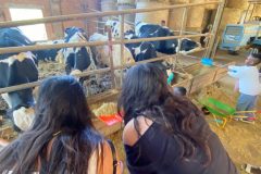 5edc87f1-0410-4b3f-890d-f7495aa70567