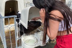 9ff0ef87-cc2d-458c-8c58-a1ee96c91874