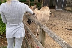 a8154120-ddb8-4e41-9908-a26cce215a63