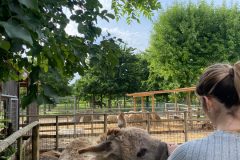 e69091f1-baba-4bb5-b60d-b00c29d91231