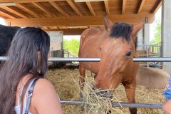 e8e30426-090f-447f-a42f-056369a275cc